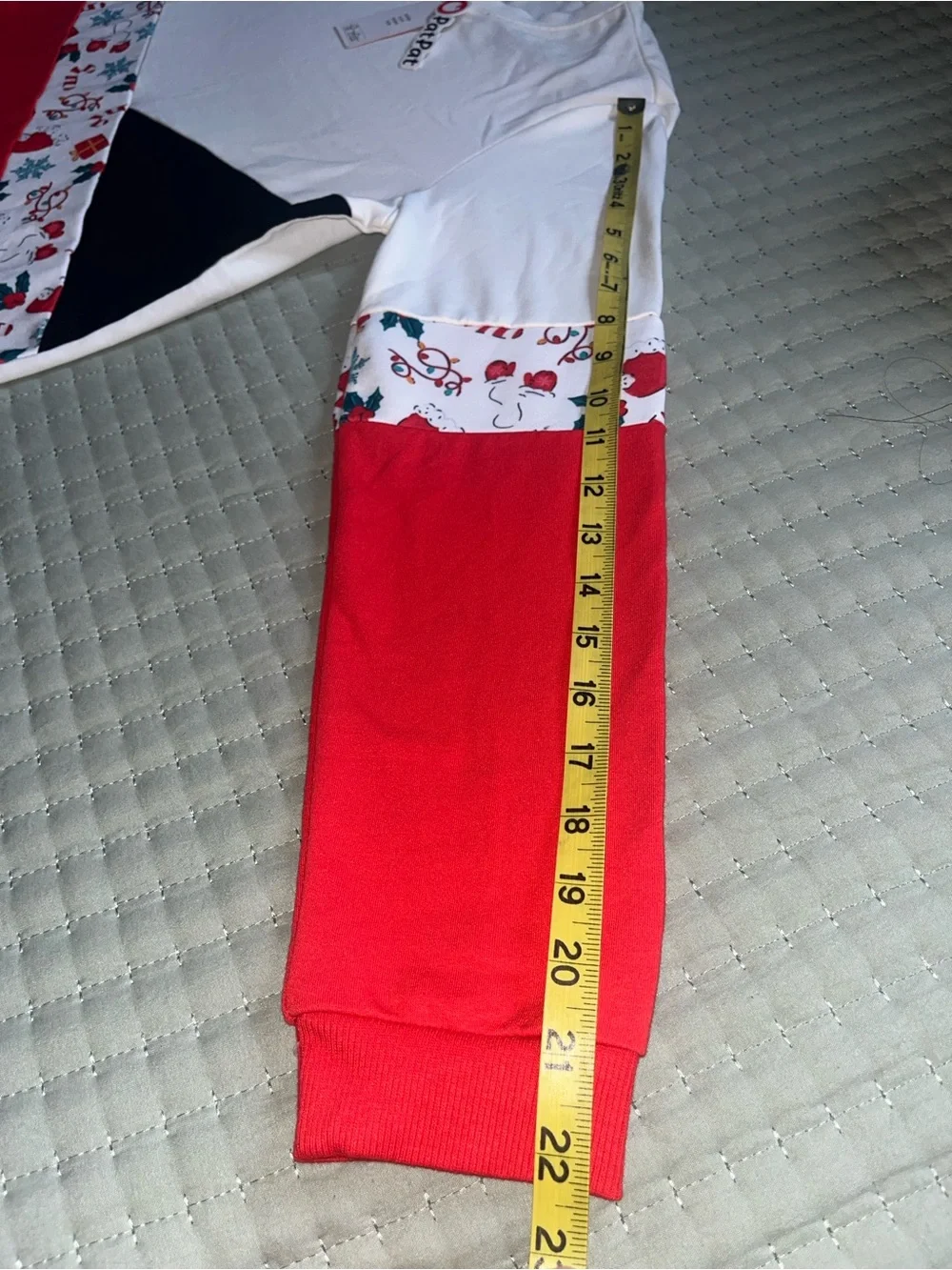 Big Girls Christmas outfit